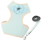 Teddy Pet Dog Harness and Leash