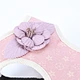 Teddy Pet Dog Harness and Leash