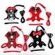 Adjustable butterfly bowtie for pets