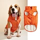 Dog Waistcoat