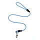 biking dog leash