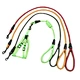 biking dog leash