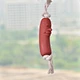 Red Rubber Sausage Dog Toy
