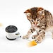 Cat Windmill Toys With Wheels Automatic
