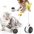 Cat Windmill Toys With Wheels Automatic