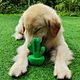 Dog Toothbrush Stick Teeth Cleaning