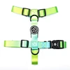 Stylish gradient nylon leash