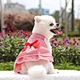 Pet Apparel Colorful Dress