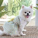 Pet Apparel Colorful Dress