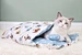 Cat Bed Warm Sleeping Soft Bag