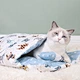 Cat Bed Warm Sleeping Soft Bag