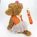 vestido de cachorro gravata borboleta