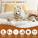 Pet wishbone chewing toy