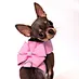 Cute pet carrier backpack
