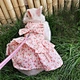 Rabbit collar dress set
