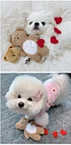 New Pocket Love Bear Pet Toys
