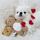 New Pocket Love Bear Pet Toys