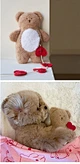 New Pocket Love Bear Pet Toys