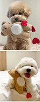 New Pocket Love Bear Pet Toys