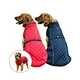 Dog Outdoors Clothes