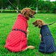 Dog Outdoors Clothes
