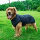 Dog Outdoors Clothes