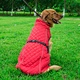 Dog Outdoors Clothes