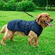 Dog Outdoors Clothes