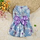 Pet Princess Colorful Skirt