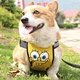 Pet Chest Harness