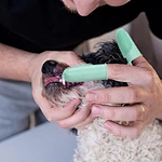 Dog Double Fingers Toothbrush