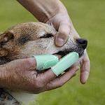 Dog Double Fingers Toothbrush