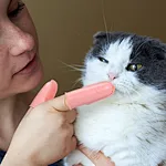 Dog Double Fingers Toothbrush