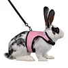 dog leashes at walmart