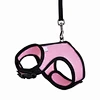 dog leash running