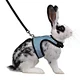 dog leash stake