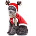 christmas winter pet clothing