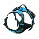 Reflective Breathable Harness