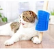 Pet Brush