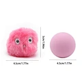 Pet Self-Entertainment Toy
