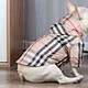 Dog Fashionable Brand Style Raincoat