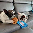 Dog Cute Cookies Toy