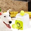 Tennis Ball Launcher For Dog