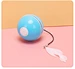 Smart Catcher Chasing Toy For Cat