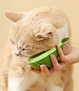 Cat Hair Comb