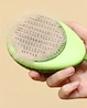 Cat Hair Comb