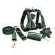 Velvet Dog Collar Pet Leash Set