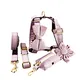 Velvet Dog Collar Pet Leash Set