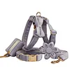 Velvet Dog Collar Pet Leash Set