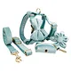 Velvet Dog Collar Pet Leash Set